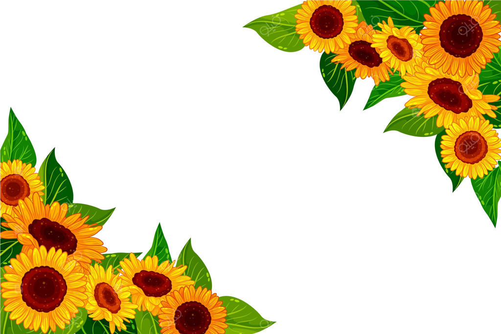 حاشیه‌ای با جزئیات از گل آفتابگردان و فضای خالی