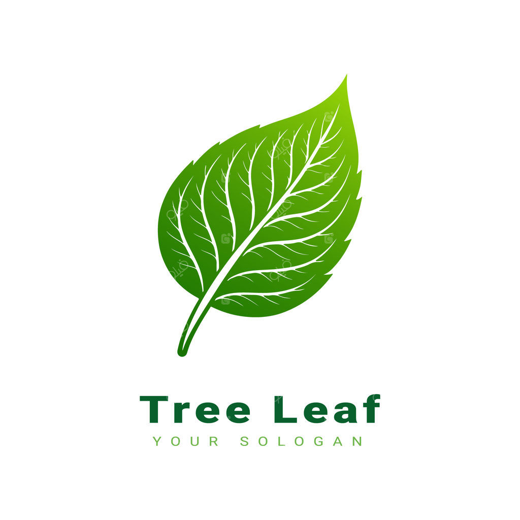 طراحی وکتور لوگوی برگ درخت زیبا