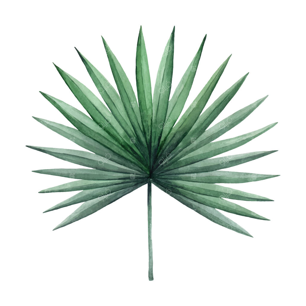 برگ نخل آبرنگی