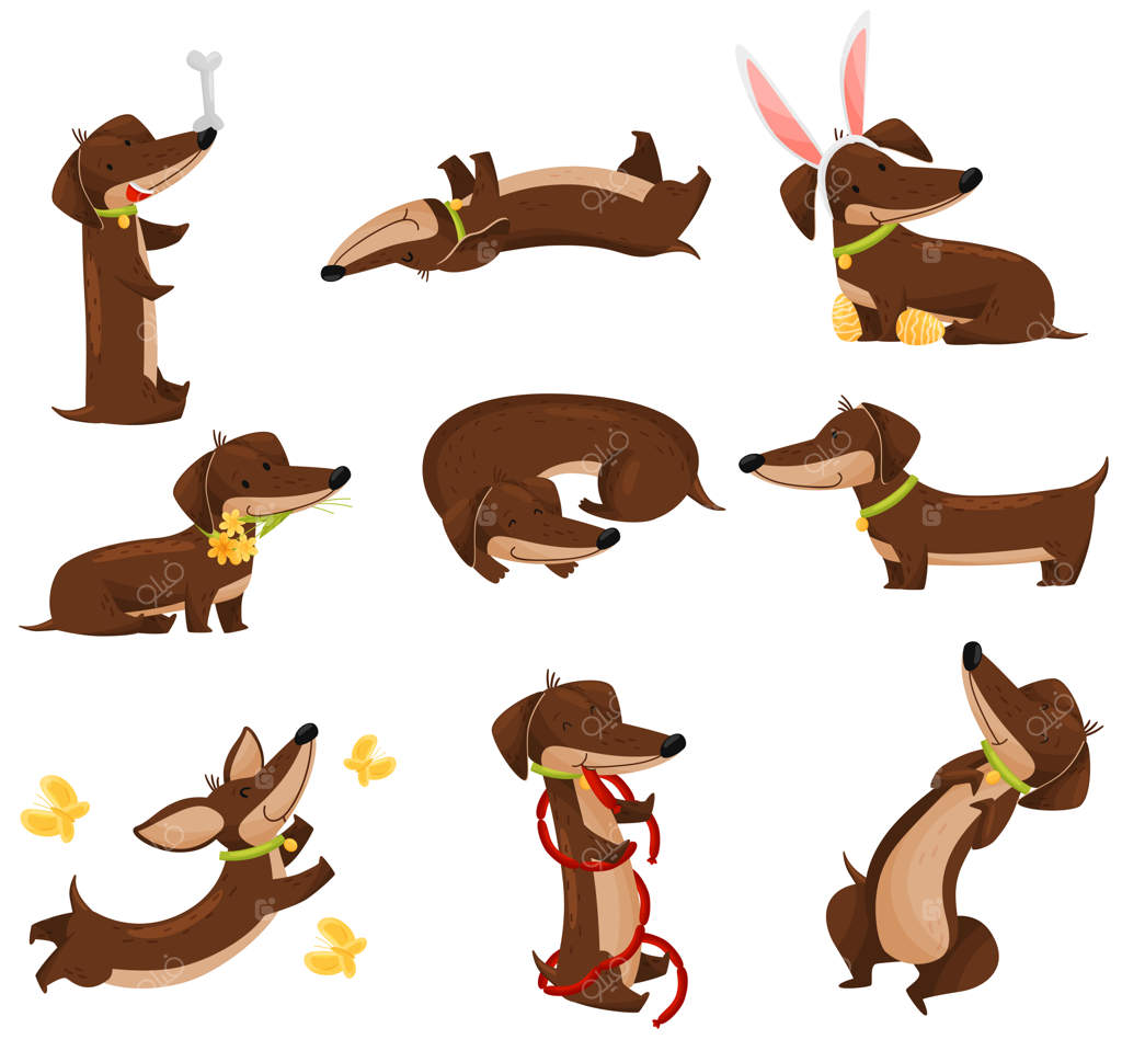 تصویر سگ‌های داشهوند خوشحال بر روی زمینه سفید.