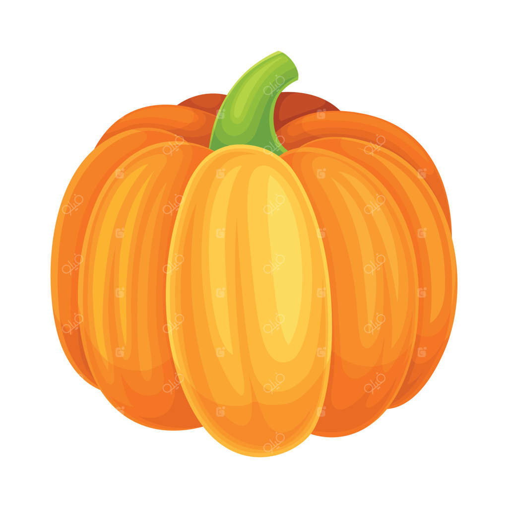 نمای نزدیک از کدوحلوایی نارنجی: سبزیجات تازه و خام برای تغذیه سالم و کشت در باغچه