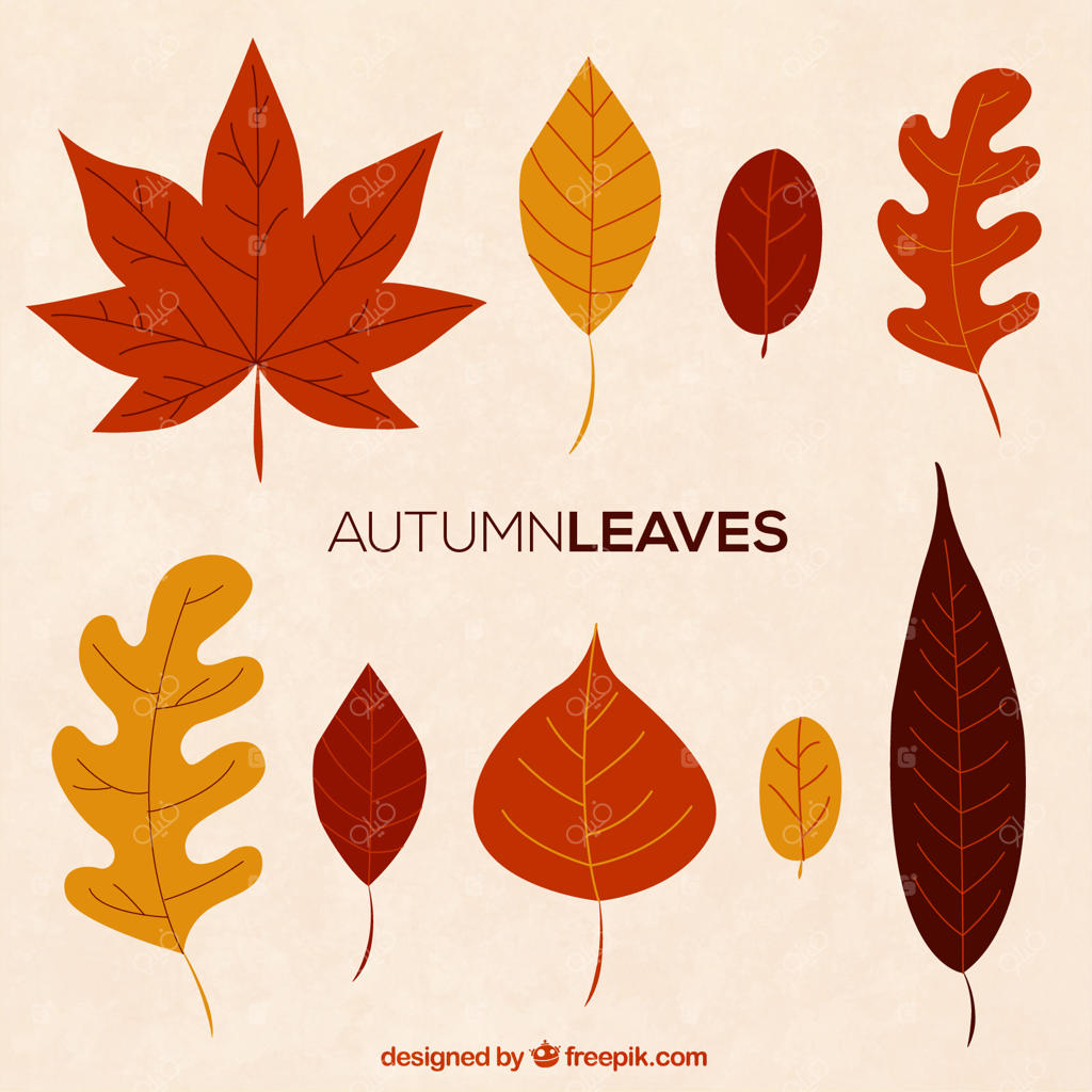 جمع‌آوری برگ‌های پاییزی