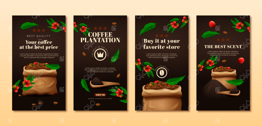 استوری‌های اینستاگرام از مزارع قهوه در شیب‌های زیبا