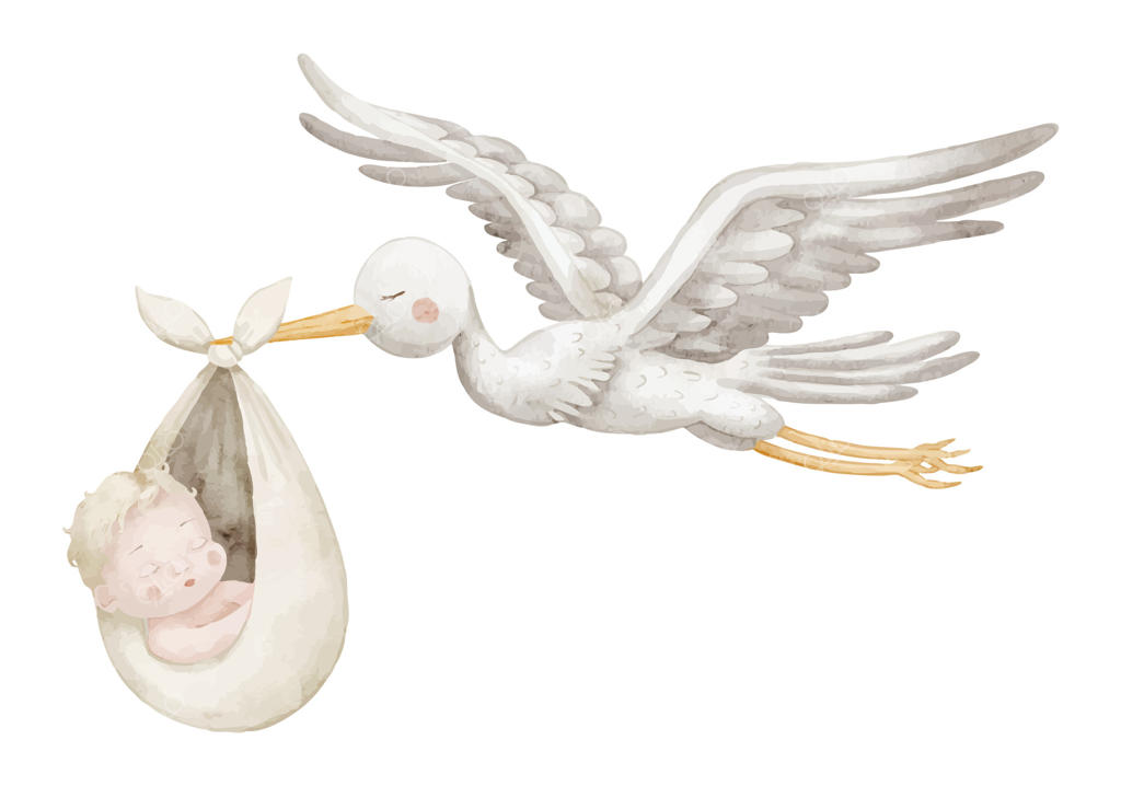 تصویر آبرنگی لک‌لک پرنده با نوزاد: طراحی زیبا برای کارت دعوت مراسم استقبال از نوزاد یا جشن تولد در رنگ‌های ملایم.
