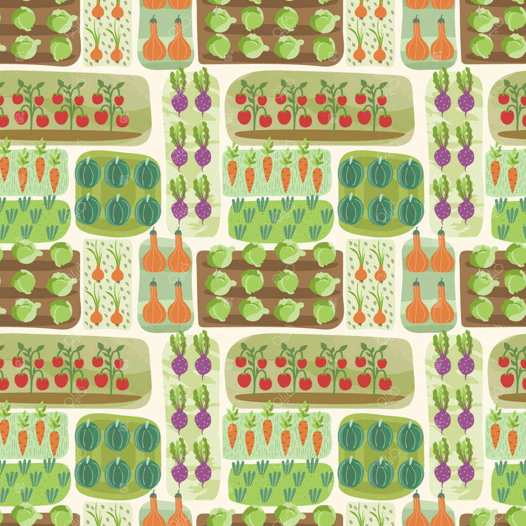 باغ، تخت‌های سبزیجات. پترن یکپارچه. تصویر وکتور
