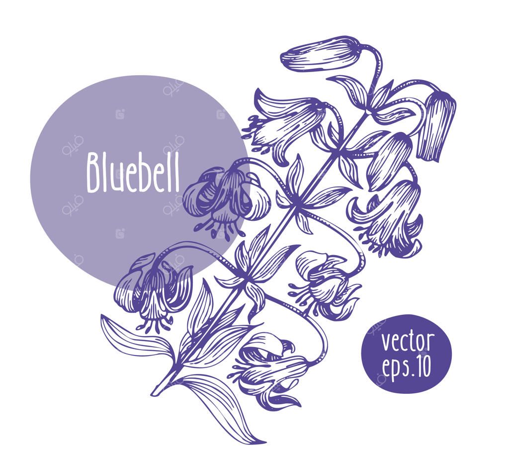 تصویر دست‌کشیده زنگوله قدیمی.