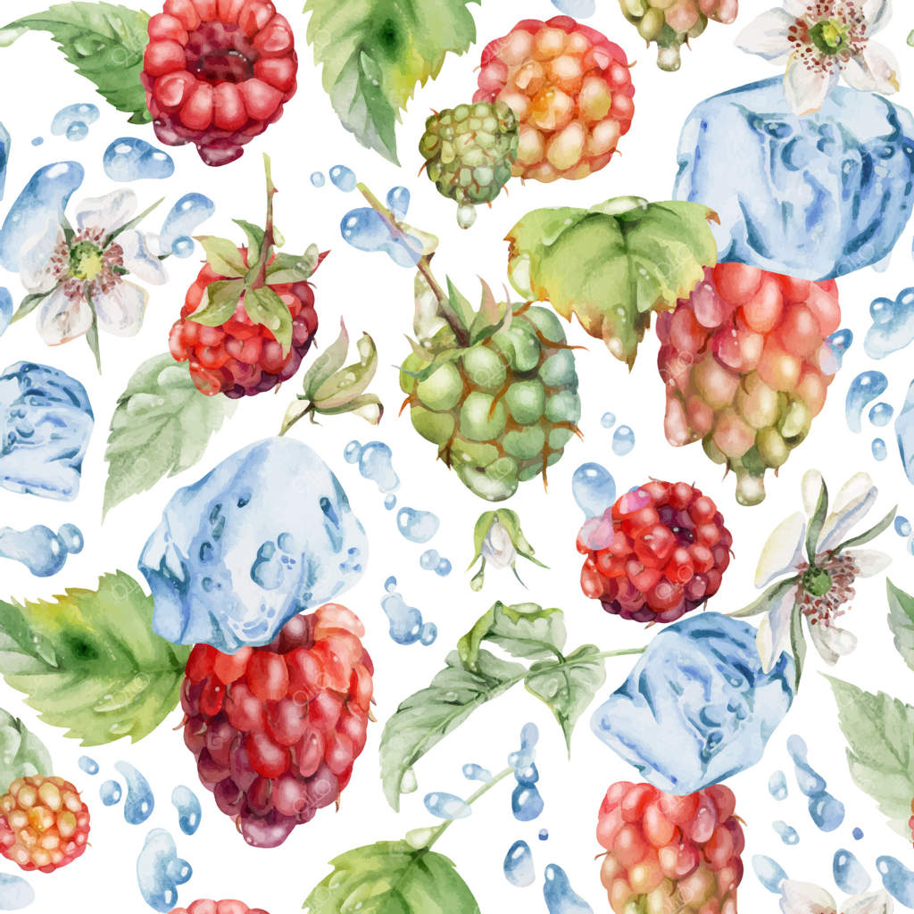 برگ تمشک، قطره‌های شبنم، تکه‌های یخ، پاشیدن آب. توت جنگلی تابستانی رسیده لوگن‌بری به صورت نقاشی دستی با آبرنگ. طرح یکپارچه و قابل تکرار. مربای خانگی، لوازم‌التحریر، منو، کتاب دستور پخت.