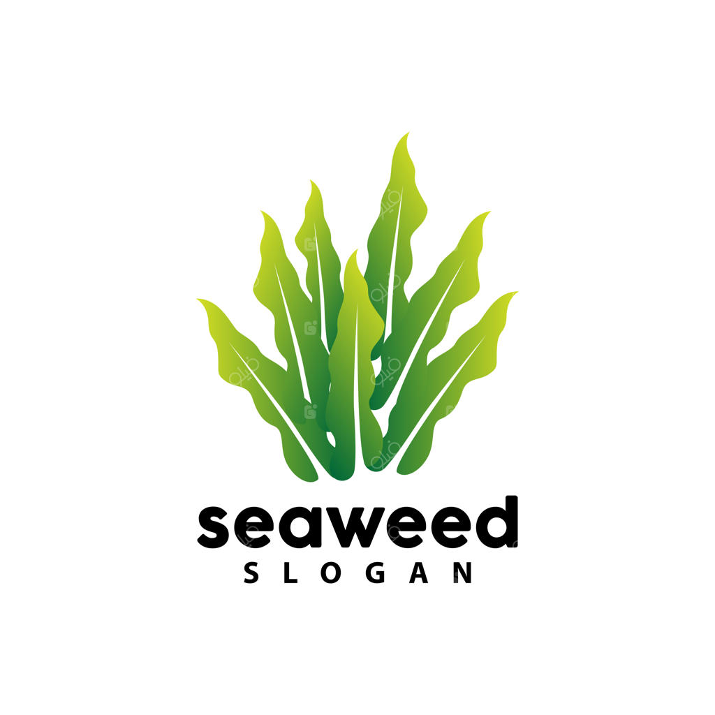 وکتور لوگوی جلبک دریایی، نماد گیاه زیر آب، آیکون و طرح ساده برگ