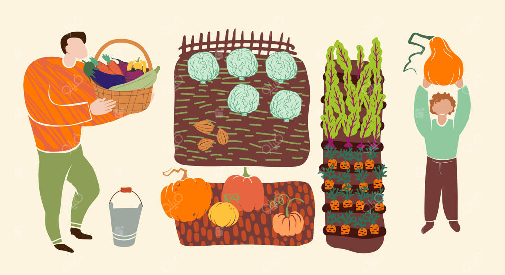 مردم در حال برداشت سبزیجاتی چون کدو، هویج و کلم از باغ. سبک ساده و رنگارنگ مناسب برای تم‌های مزرعه، باغ و برداشت پاییزی.