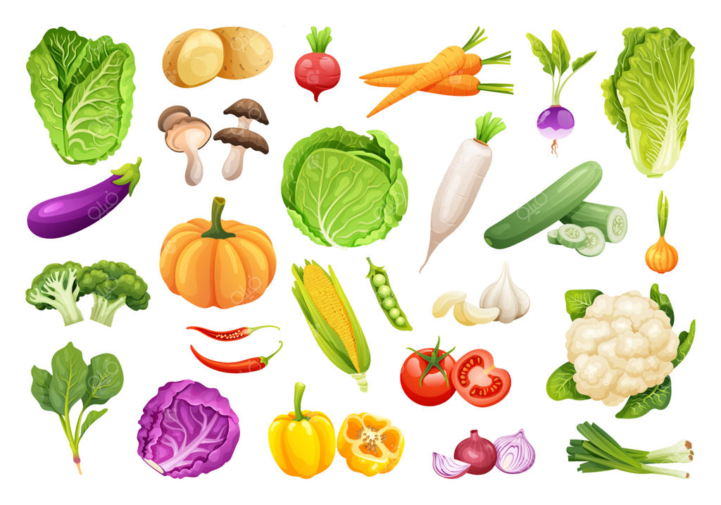 مجموعه‌ای از سبزیجات تازه به سبک کارتونی