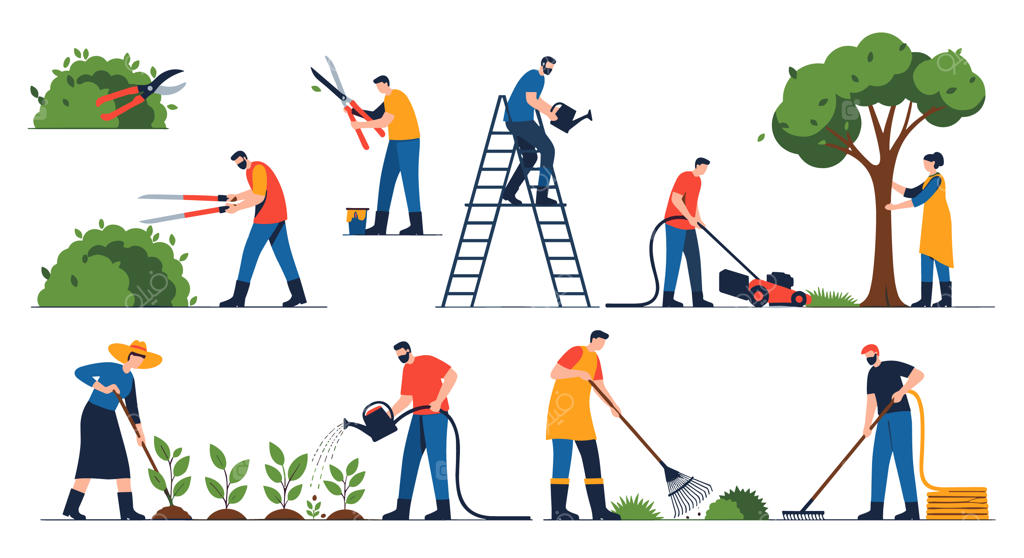 فعالیت‌های باغبانی افراد شامل هرس کردن بوته‌ها، آبیاری گیاهان، چمن‌زنی و غیره