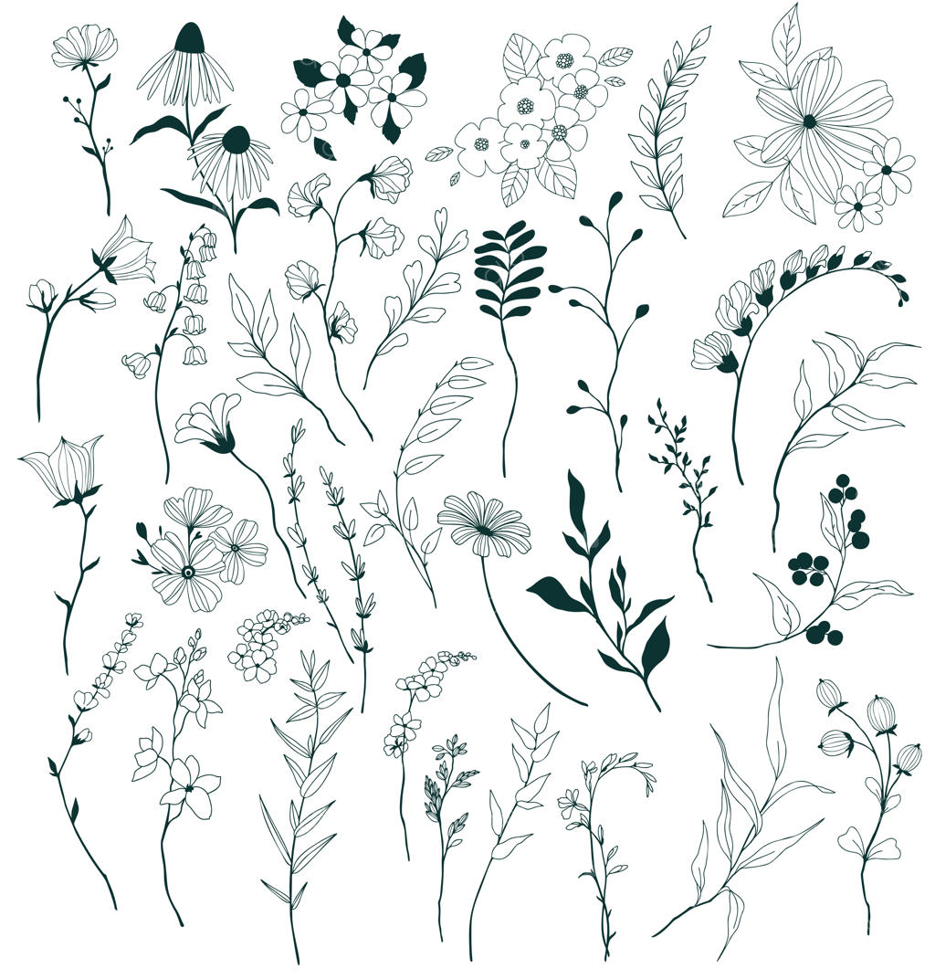 مجموعه المان‌های گل‌دار ریز با طراحی دستی