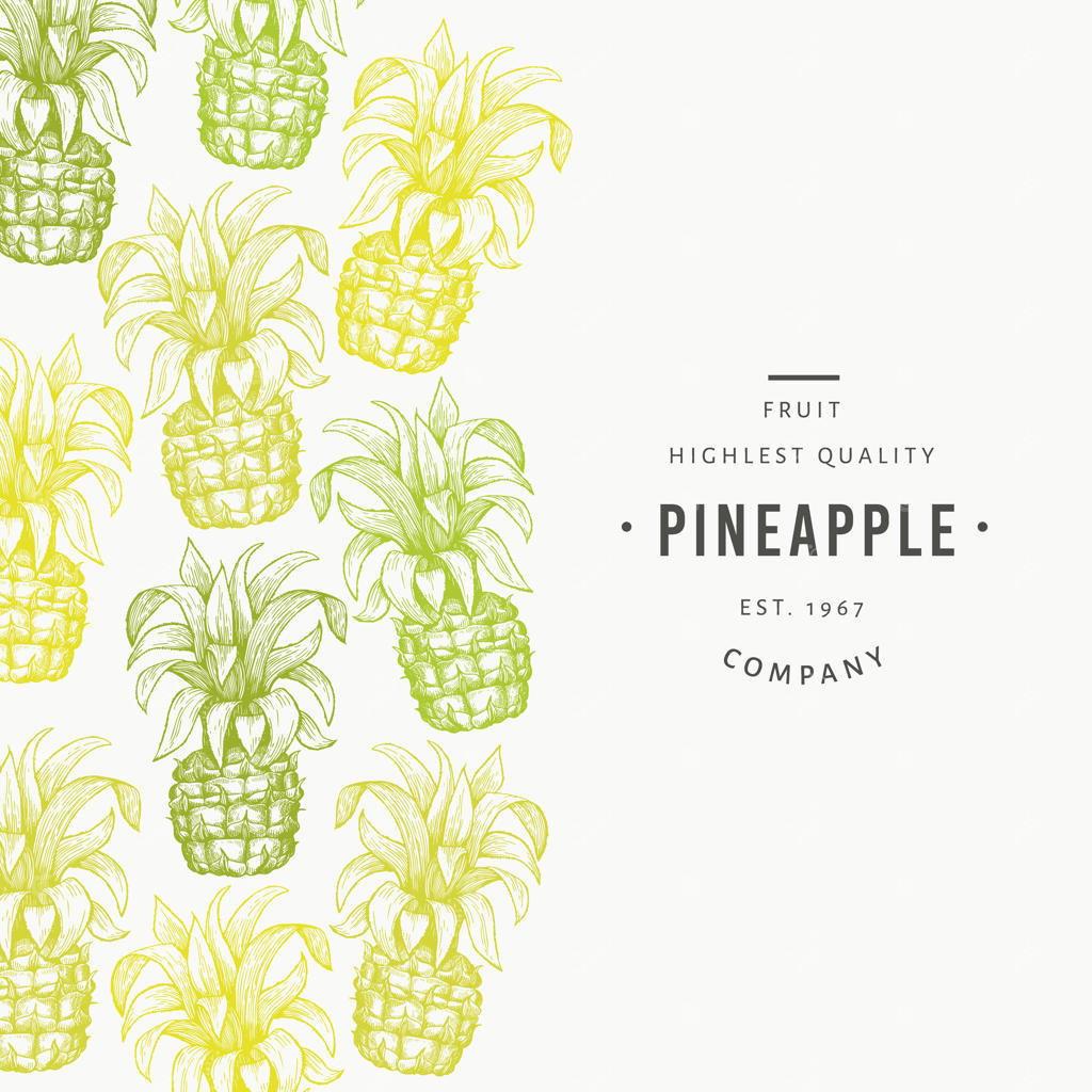 طرح آناناس و برگ‌های استوایی. تصویرسازی میوه‌های استوایی با دست. بنر آناناس به سبک حکاکی. قاب گیاهی قدیمی.