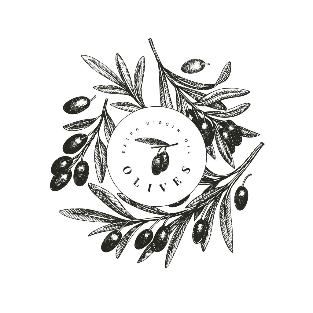 پترن شاخه زیتون.