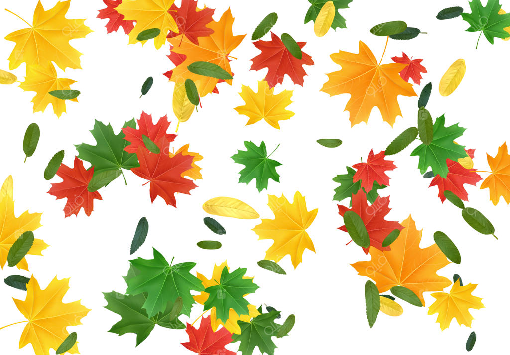 برگ‌های پاییزی: درختان افرا و دیگر درختان. شاخ و برگ رنگارنگ پاییز. افکت ریزش در پس‌زمینه سفید. طراحی سه‌بعدی واقعی. تصویرسازی وکتور