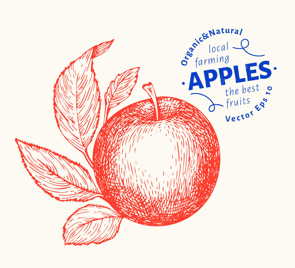 میوه شاخه سیب