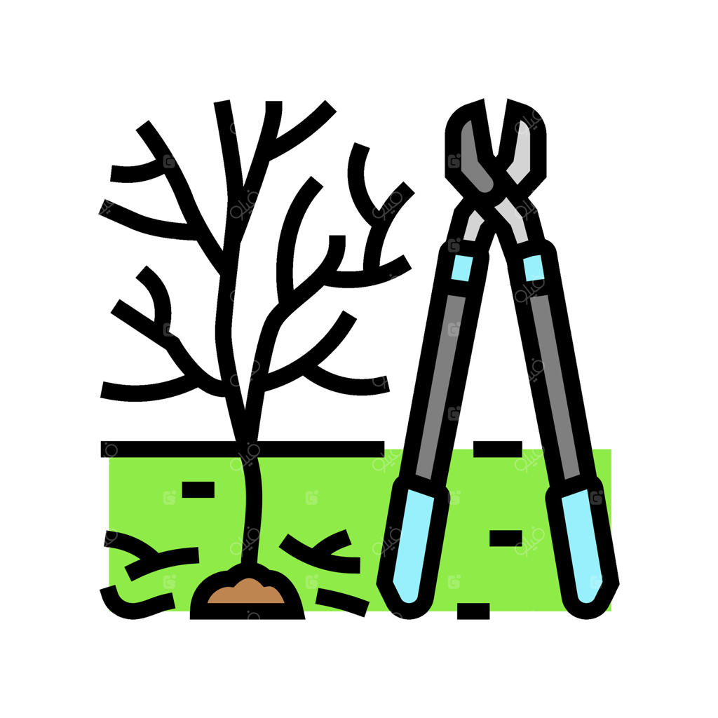 هرس درختان و نگهداری باغ - تصویر نمادین رنگی