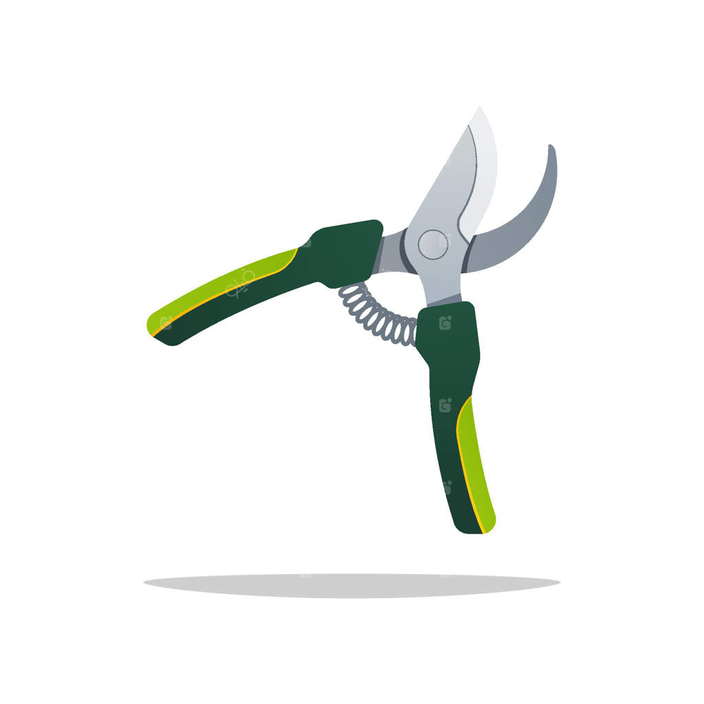 قیچی باغبانی بر روی پس‌زمینه سفید.