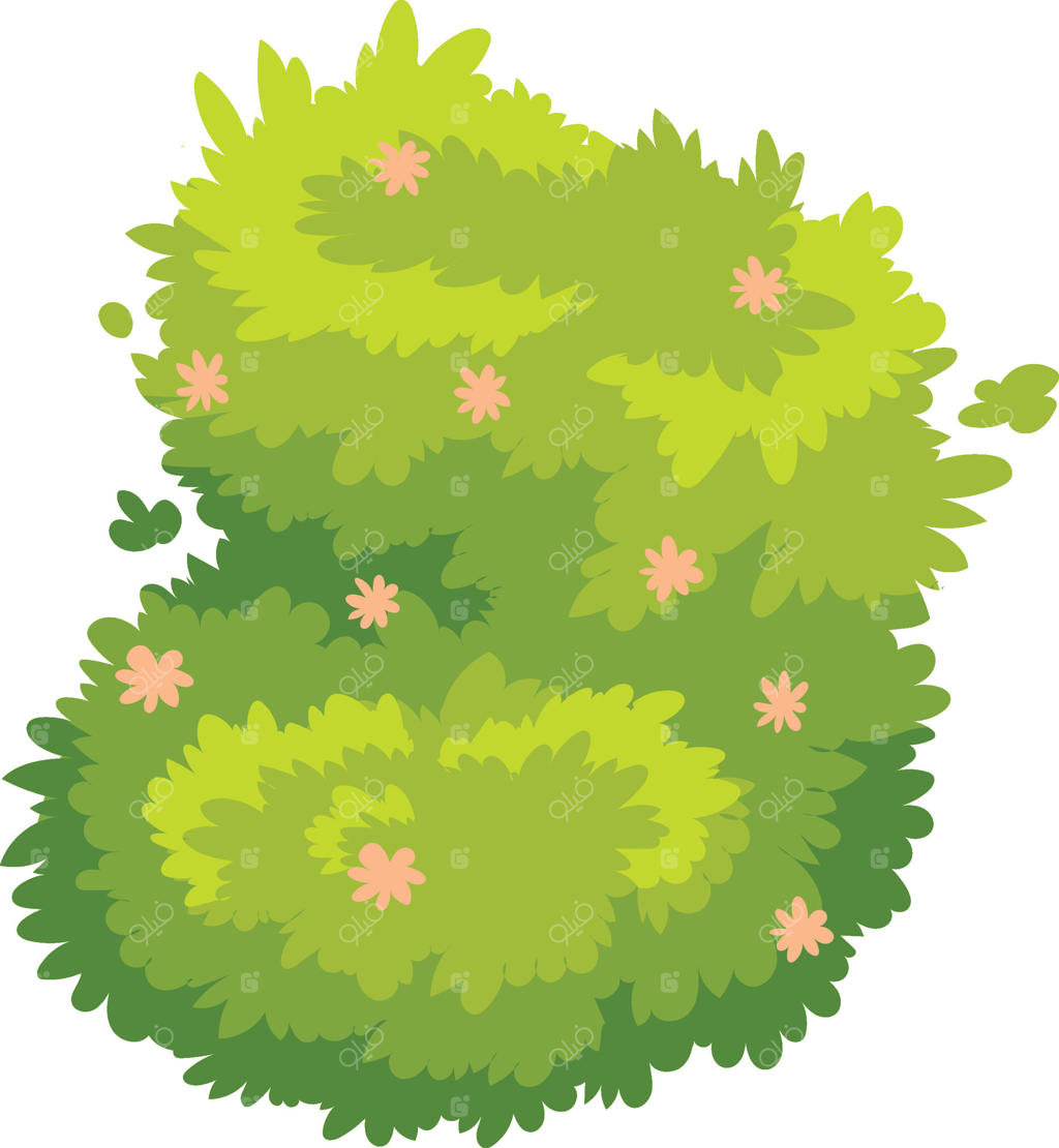 بوته سبز و پرپشت با گل‌های کوچک صورتی در باغ، صحنه طبیعی و زنده چشم‌نواز، مناسب برای پروژه‌های بهاری و تابستانی