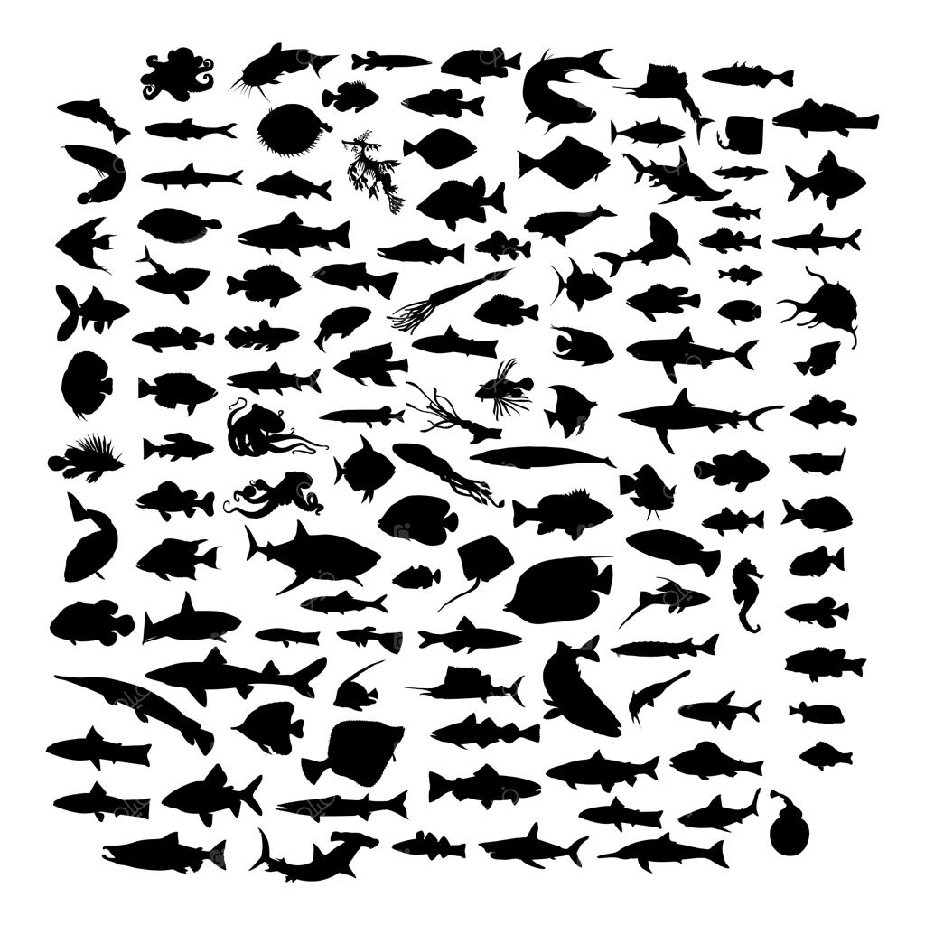 مجموعه سیلوئت ماهی‌ها