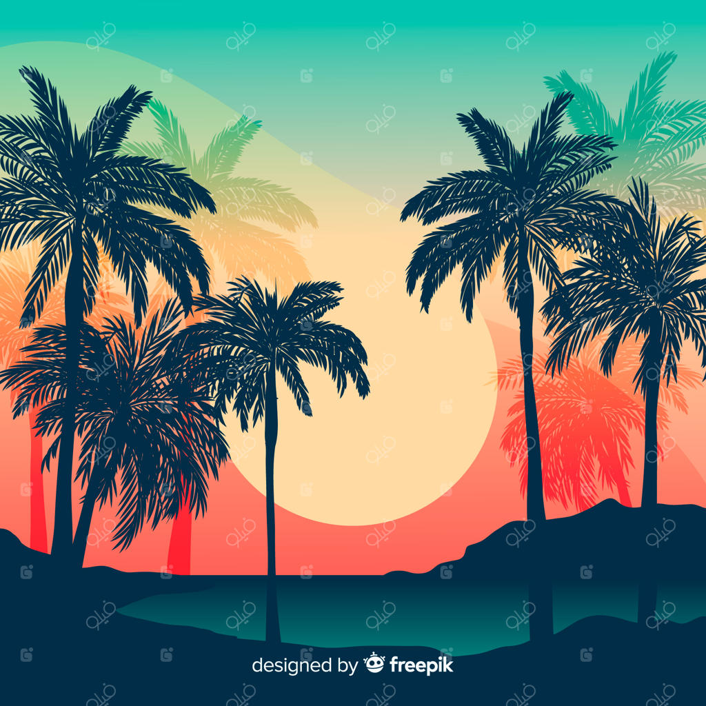 غروب دریا با سایه‌های نخل‌ها