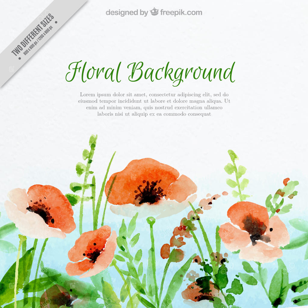 پس‌زمینه گل‌های شقایق آبرنگی