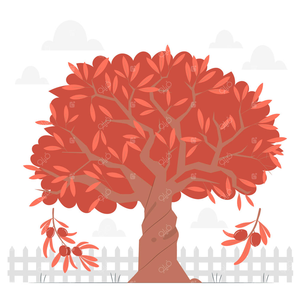 طرح مفهومی درخت زیتون