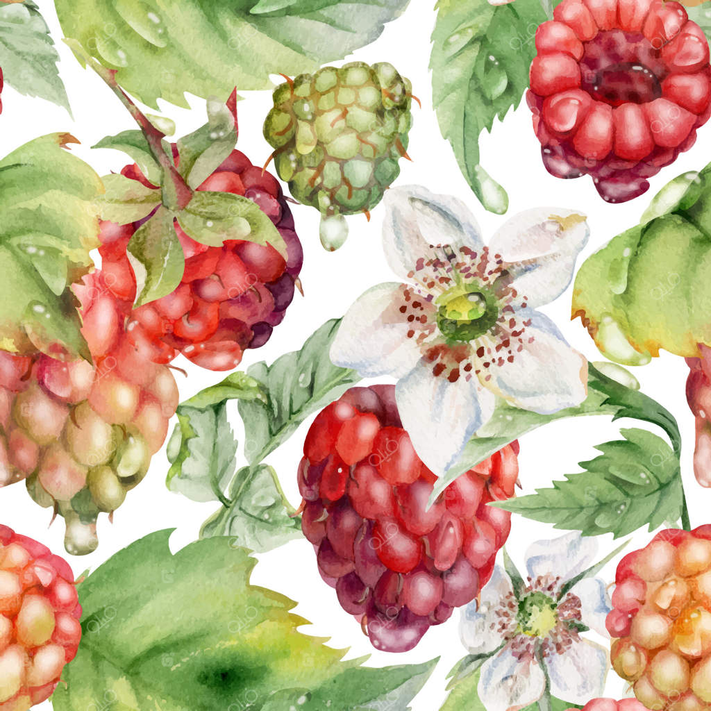 تمشک‌های رسیده و باغچه‌ایی به همراه گل‌های پوشیده از شبنم آبی در نقاشی آبرنگ. طرح کاشی‌کاری یکپارچه و بی‌انتها. برای مرباهای خانگی، پارچه‌های رومیزی، کاغذ دیواری، دکور فروشگاه‌های مواد غذایی، بسته‌بندی و اسکرپ بوکینگ.