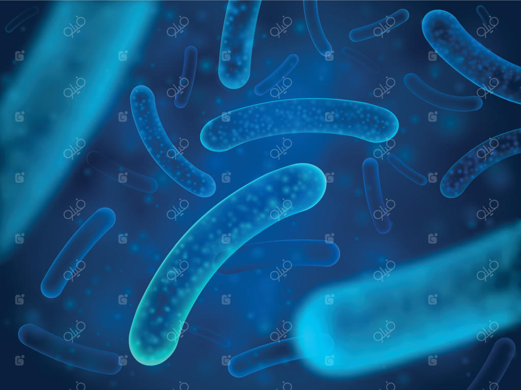 میکروب ها و باکتری های درمانی: پس زمینه‌ای از میکروسکوپ سالمونلا، لاکتوباسیلوس یا اسیدوفیلوس