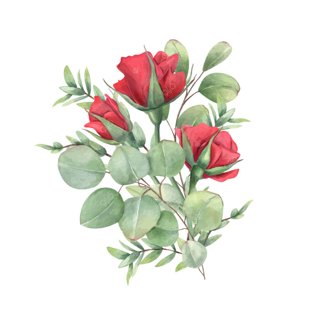 تصویر دسته‌گل رز قرمز آبرنگی و شاخه اکالیپتوس. گیاهان باغ شکوفه‌دار با برگ‌های سبز. مناسب برای کارت تبریک تولد، طراحی دعوت‌نامه، عروسی، و روز یادبود.