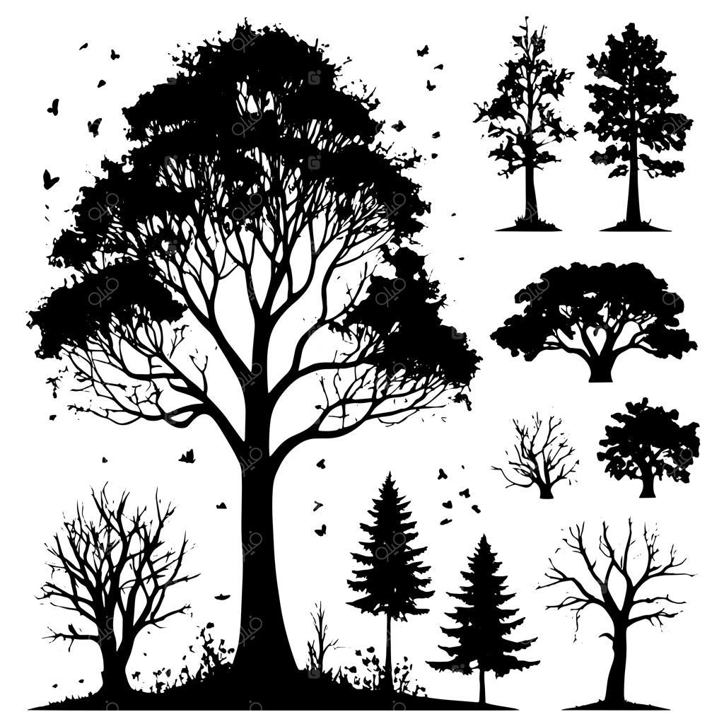 سایه‌های ماندگار؛ مجموعه‌ای از سیلوئت درختان