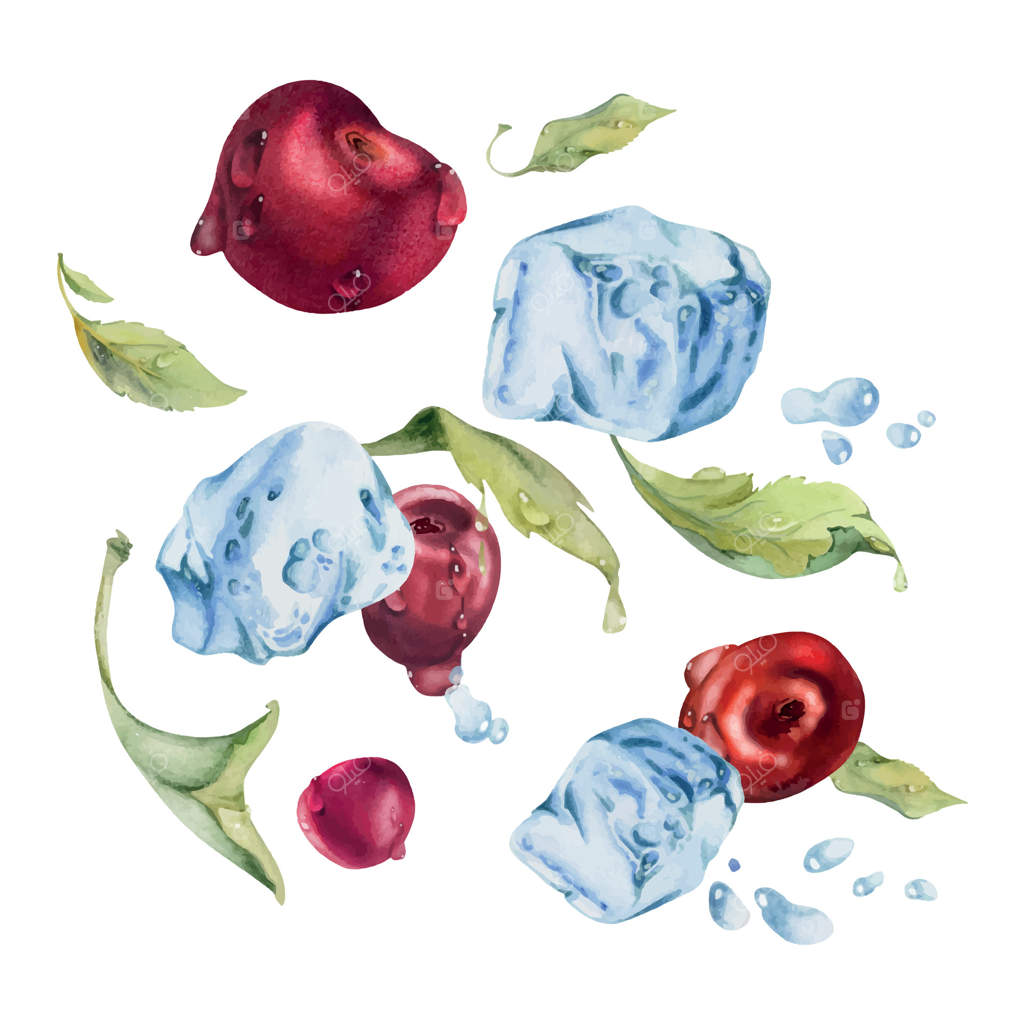 پرواز آلبالوی شیرین و ترش در قطرات آب و یخ‌های رنگی، نقاشی آبرنگی دست ساز، میوه باغی قرمز رسیده به همراه برگ‌ها. تصویر جداگانه. منوی رستوران و کافه، بازار کشاورزان، عروسی.