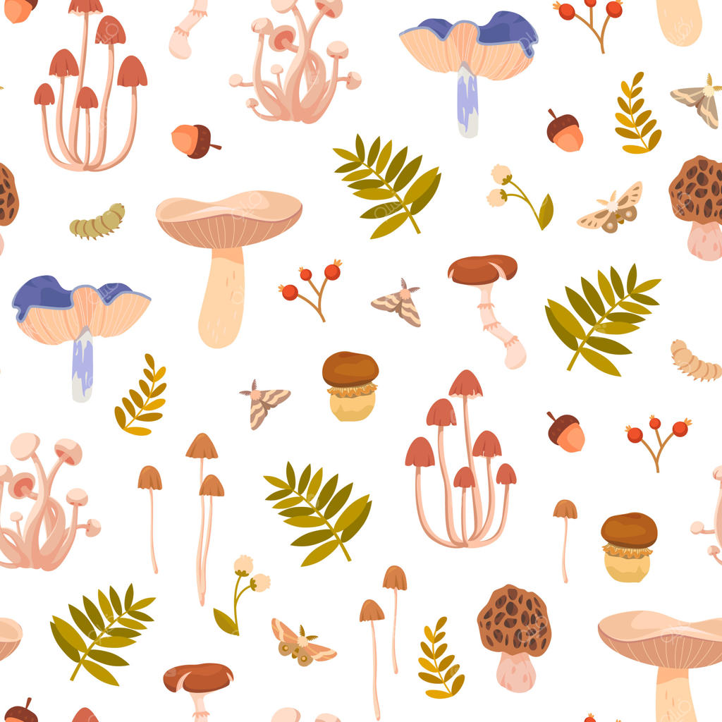 کلکسیونی زنده از الگوهای قارچی حرفه‌ای وکتور را کاوش کنید