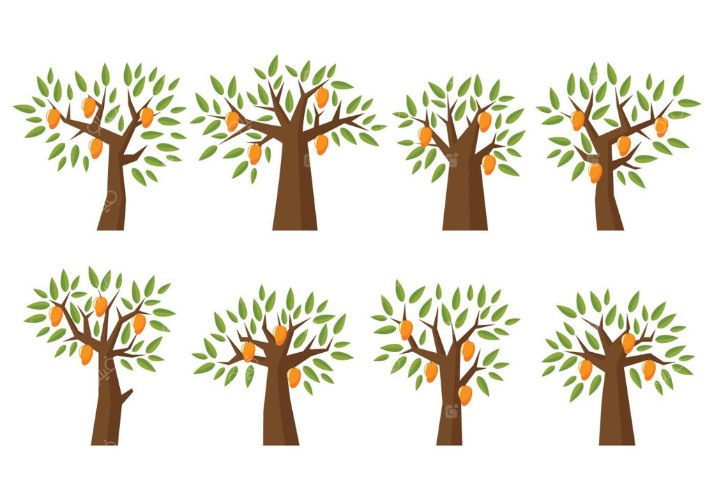 وکتور درخت انبه