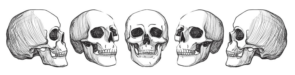 تصویر سازی وکتور جمجمه‌های قدیمی