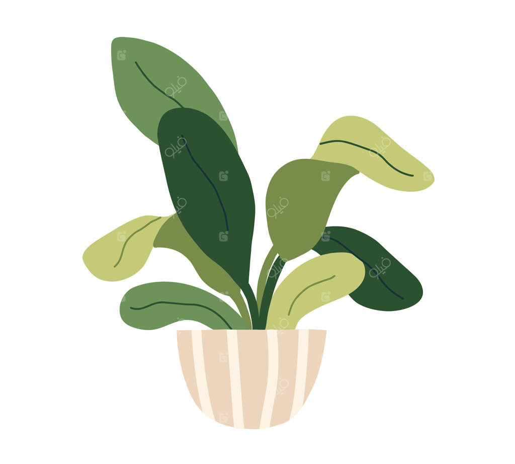 گلدان: گیاهان خانگی و گل‌خانه برای دکوراسیون داخلی و دفتر کار