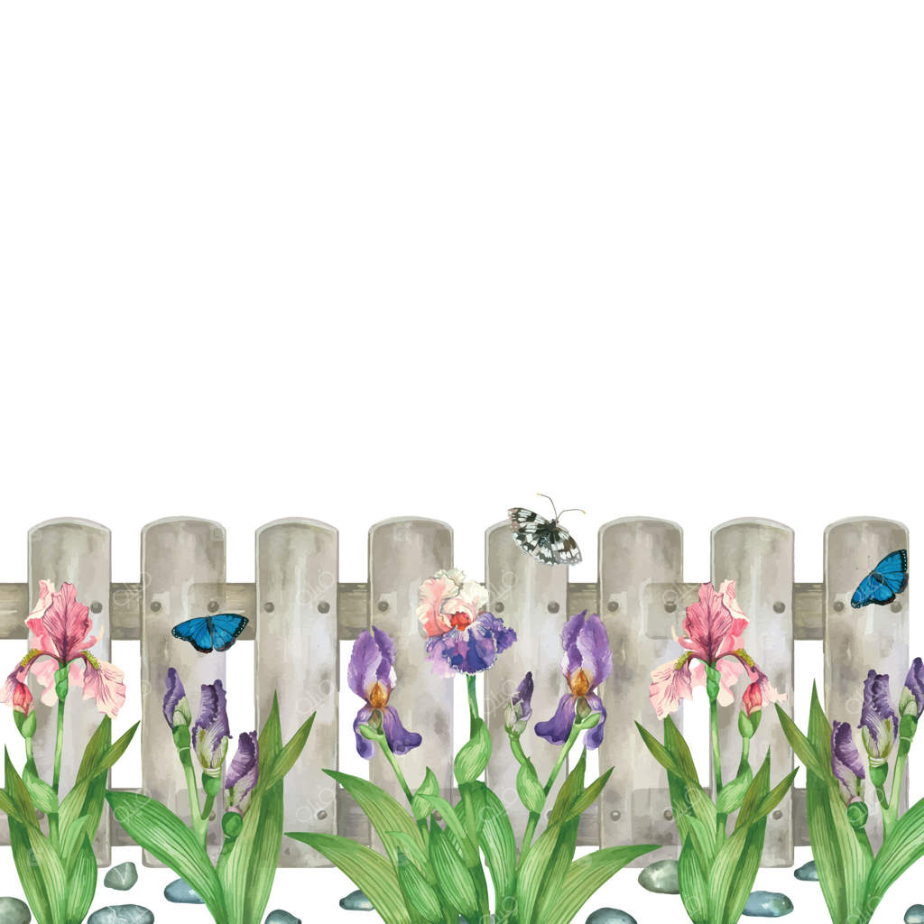 باغ شکوفا: مرز آبرنگی از گل‌های زنبق و جوانه‌ها با برگ‌های سبز، حصار دکوری. تمام اشیا با آبرنگ دست‌کشیده شده‌اند. ترکیب گل زنبق مناسب چاپ است.