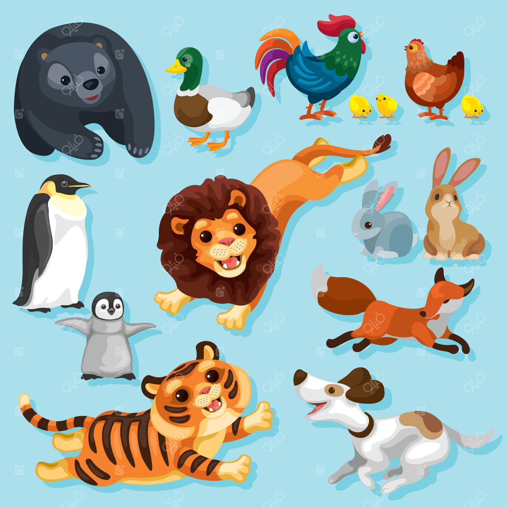 حیوانات شاد در ژست‌های مختلف