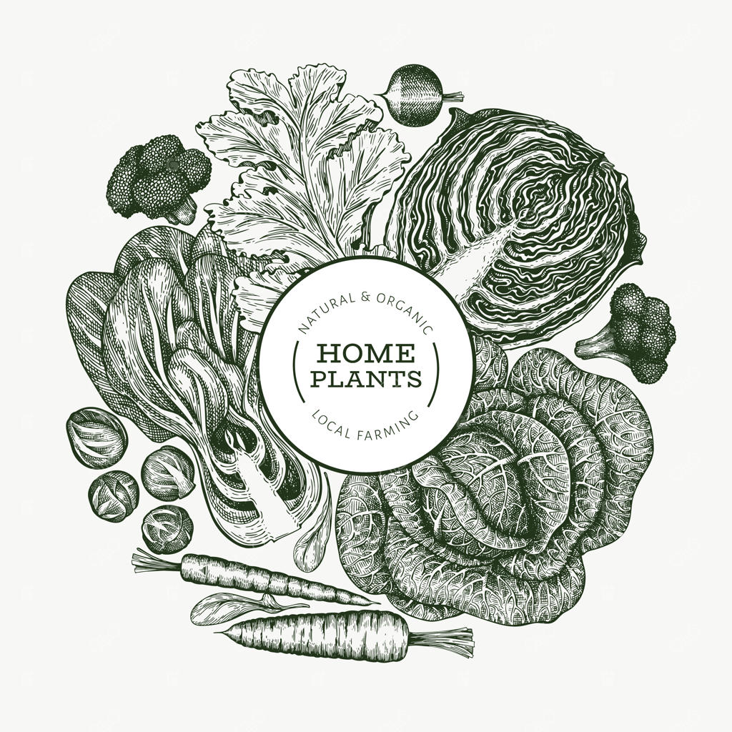 طراحی دستی اسکچ سبزیجات. پترن غذاهای ارگانیک و تازه. پس‌زمینه‌ای کلاسیک از سبزیجات. طرح‌های گیاهی به سبک گراور.