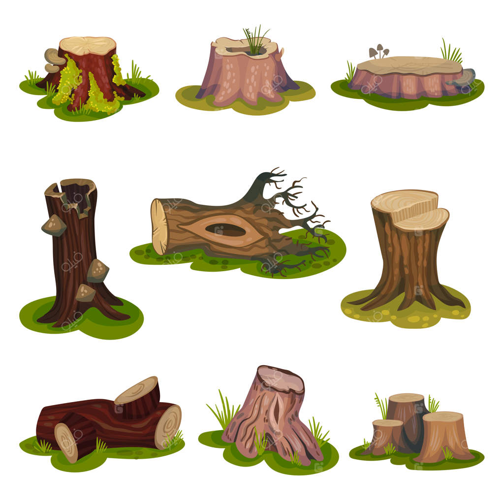 مجموعه‌ای از تصاویر تنه‌ها و درختان خشکیده.