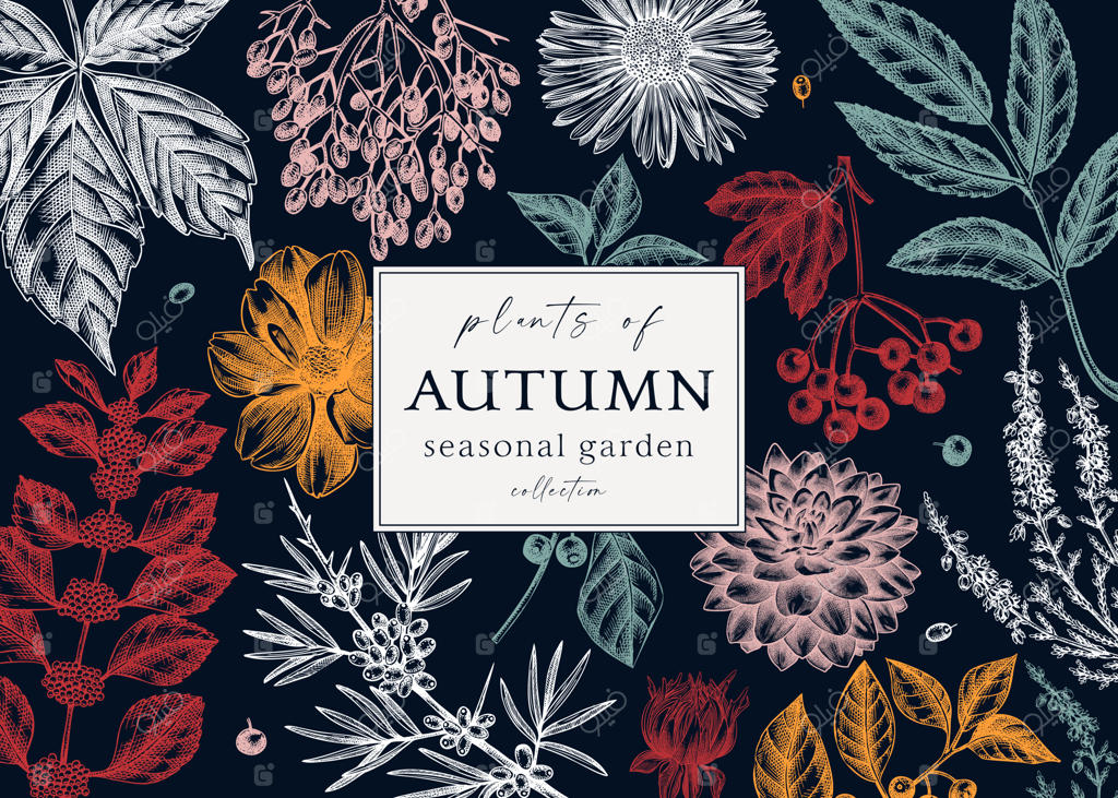 طراحی بنر پاییزی شیک و مدرن با قالب گیاهی و رنگ‌های جذاب و برگ‌ها و توت‌های پاییزی