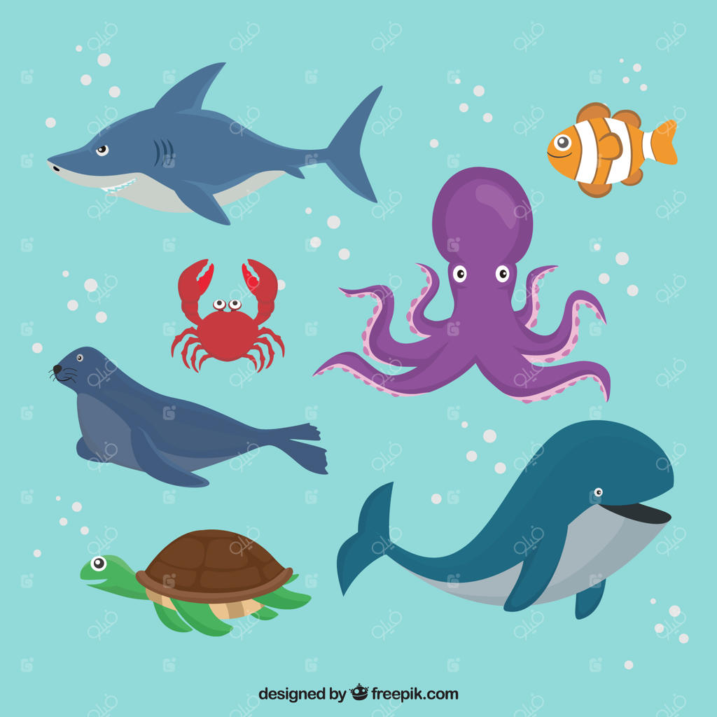 مجموعه حیوانات دریایی در حال شنا