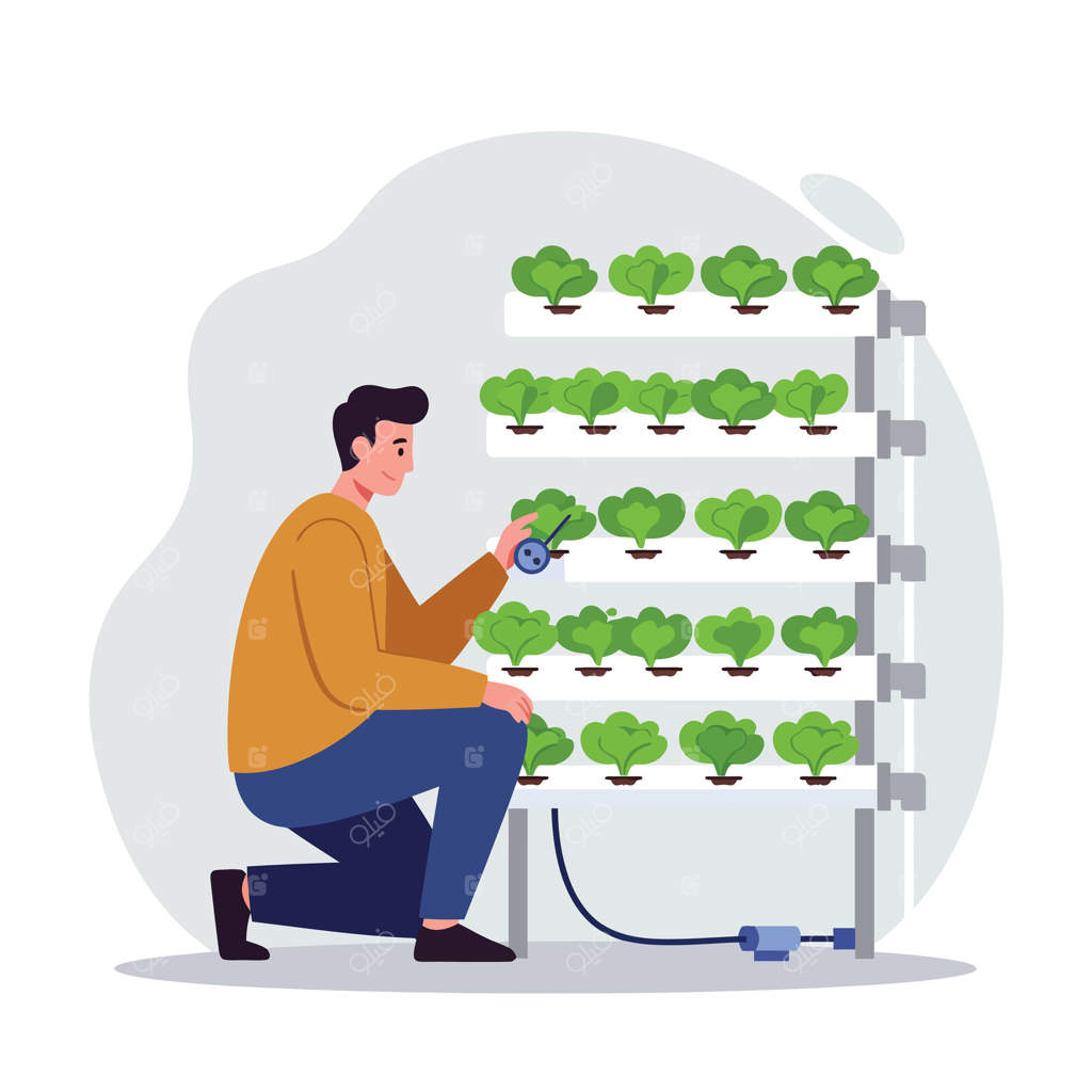 مردی در حال بررسی باغ هیدروپونیک عمودی با سیستم رشد داخلی سبزیجات برگی سبز