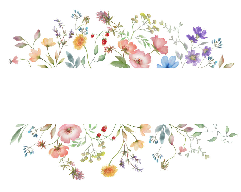 قاب گل‌های آبرنگی با گل‌های وحشی زیبا و نسترن وحشی. طرح گل دست‌کشیده روی زمینه سفید.