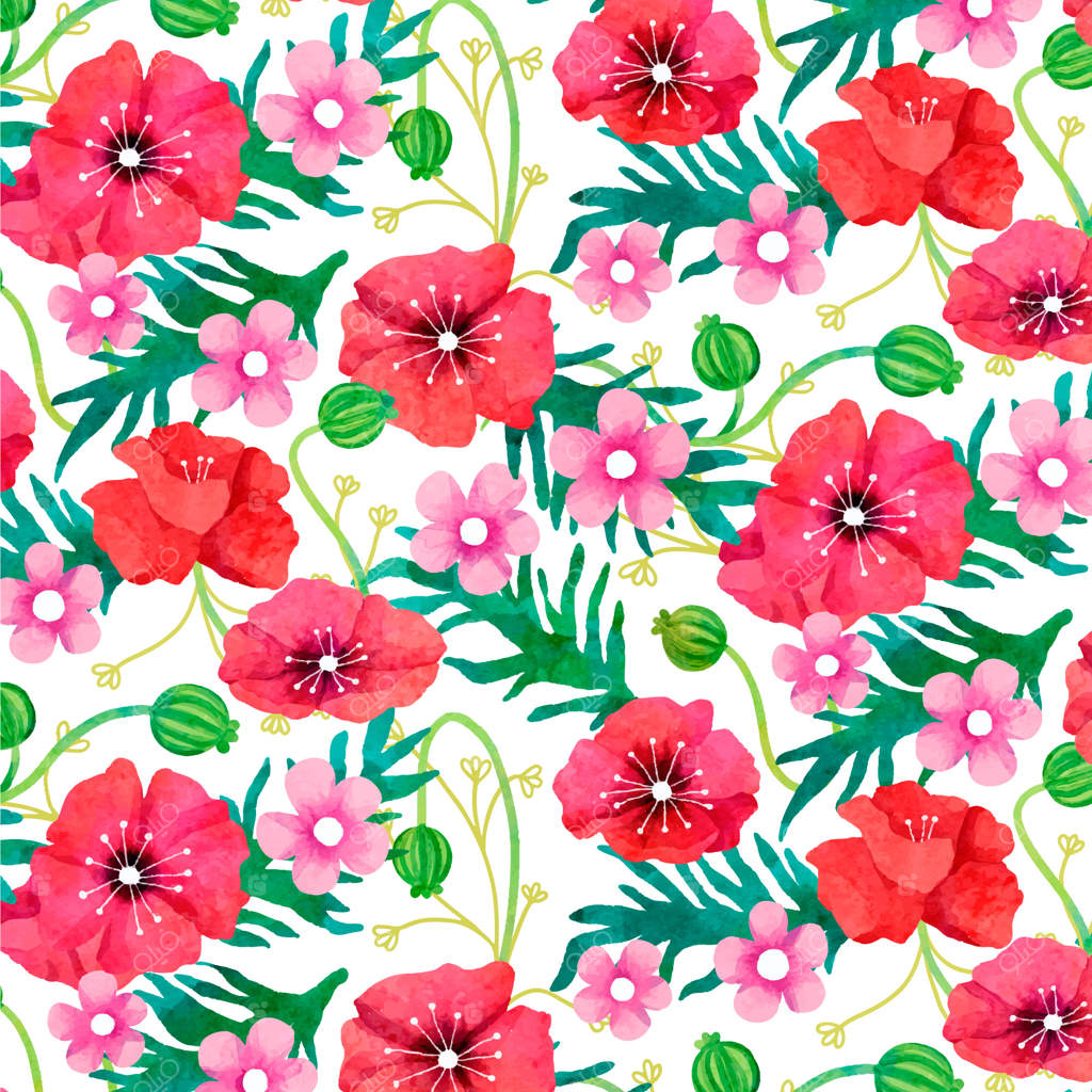 نقاشی گل شقایق با آبرنگ