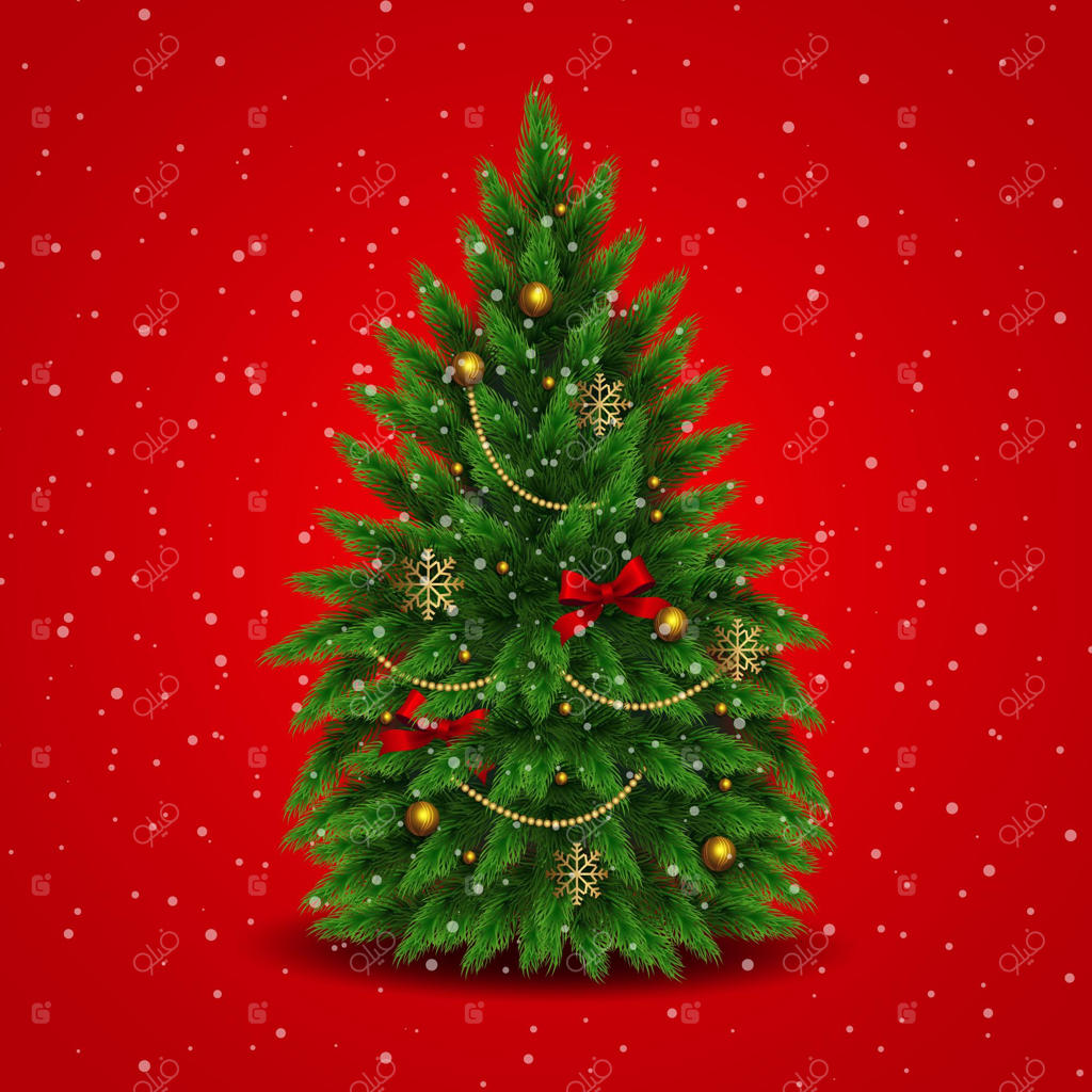 تصویر واقعی درخت کریسمس