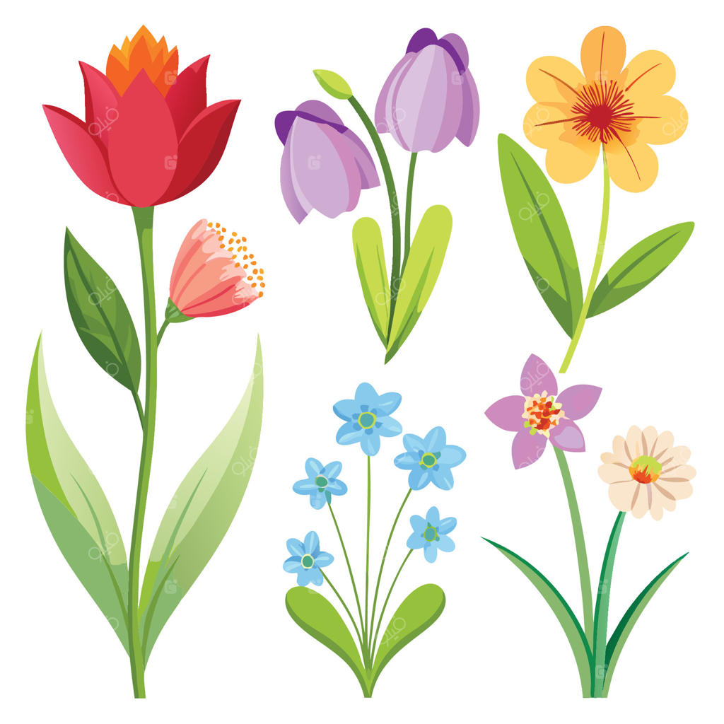 مجموعه‌ای از گل‌های باغچه