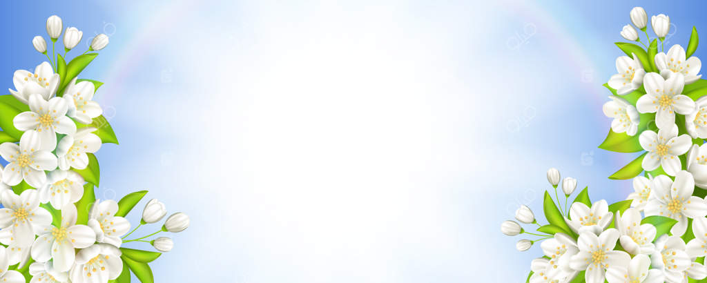 تابلویی با شکوفه‌های گیلاس