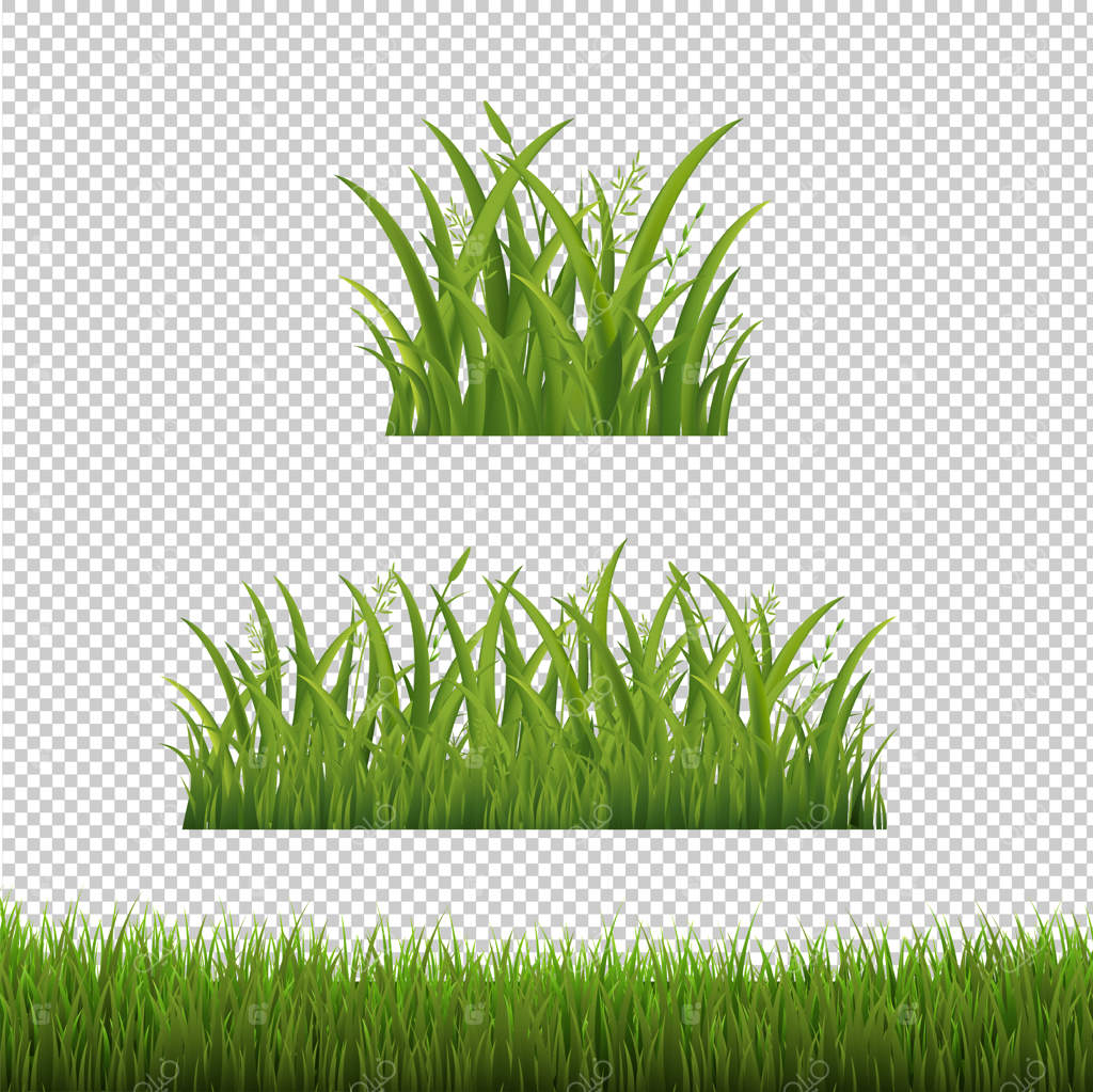 قاب های چمن سبز با پس‌زمینه شفاف و مجزا