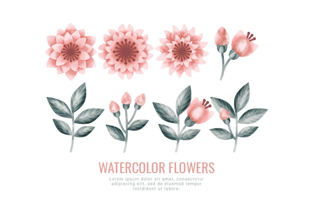 گل‌ها و شاخه‌های آبرنگی وکتور